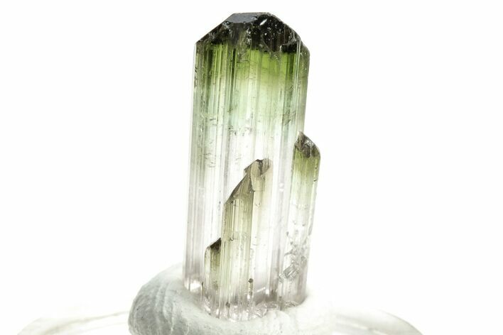 Bi-Colored Elbaite Tourmaline Crystal - Rubaya, Congo #206883